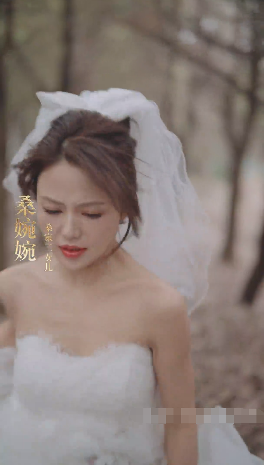 闪婚替嫁狼少夫人别太野海报
